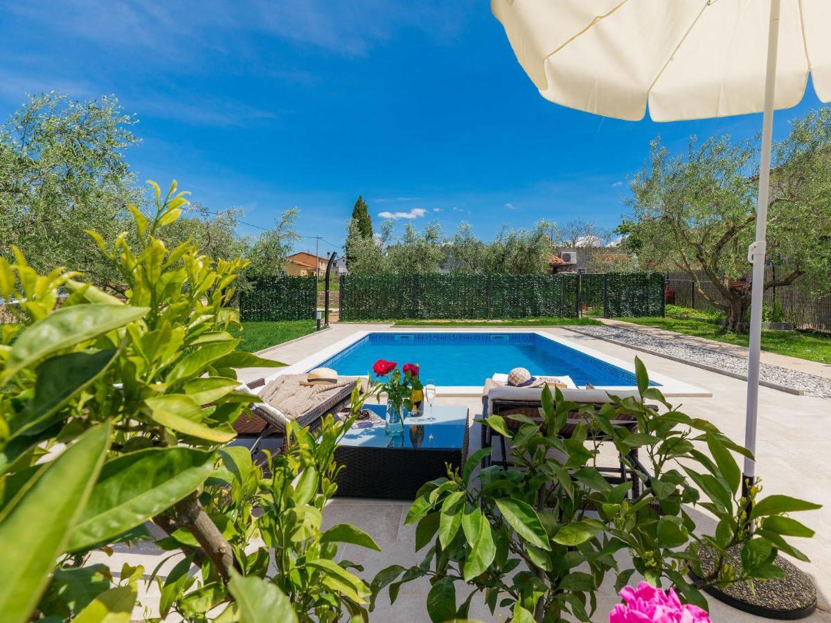 Apartment Chiara By Interhome Novigrad Istria المظهر الخارجي الصورة