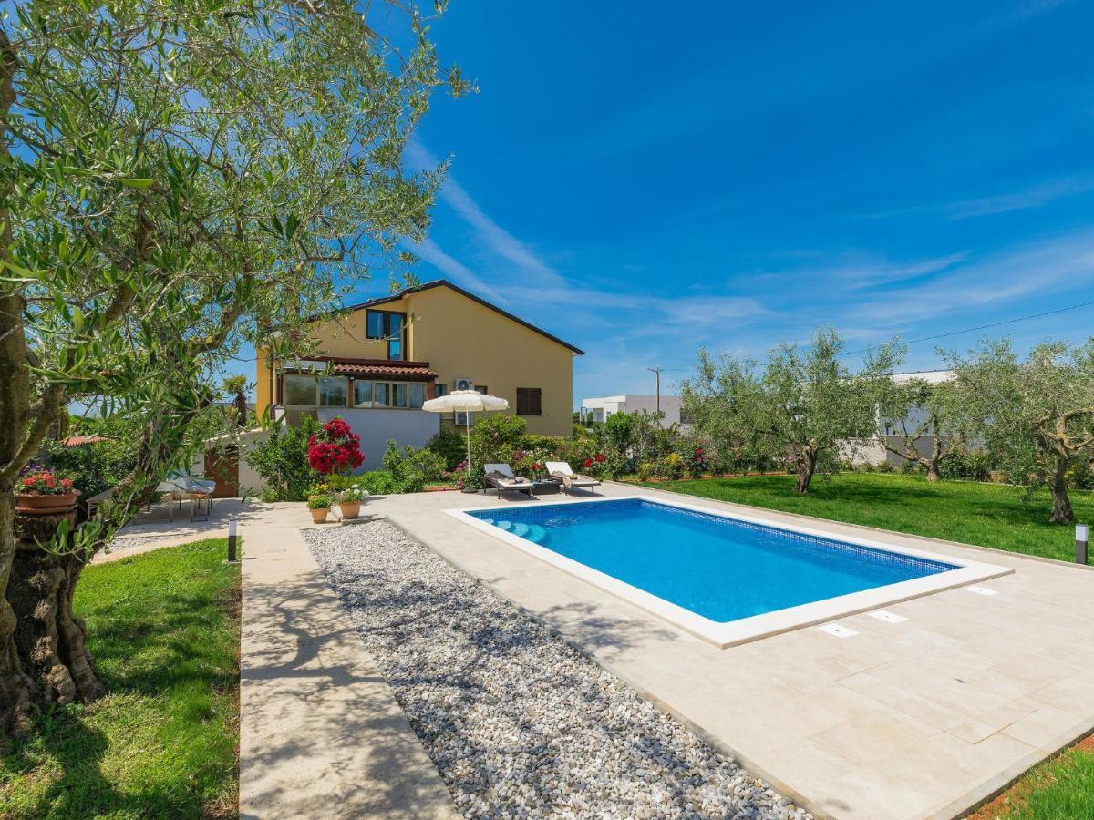 Apartment Chiara By Interhome Novigrad Istria المظهر الخارجي الصورة