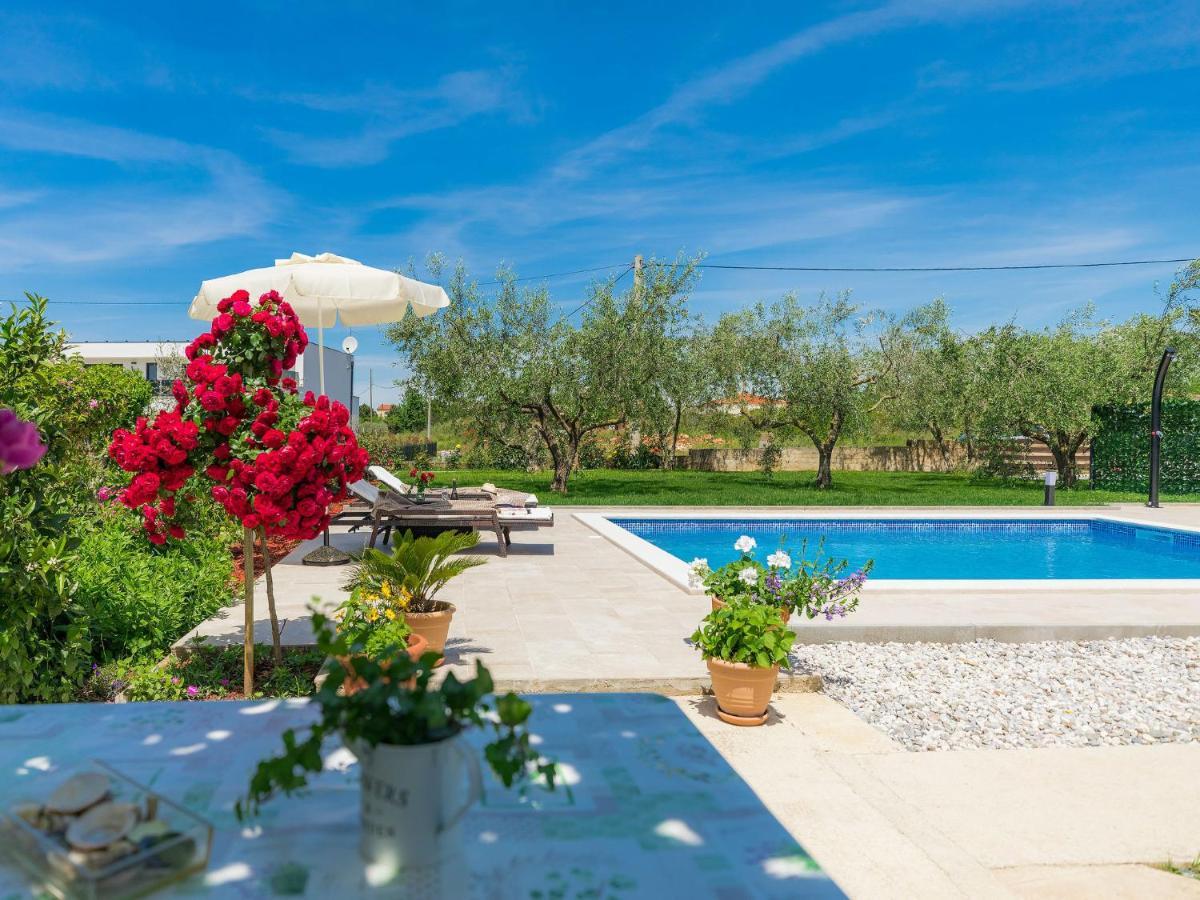 Apartment Chiara By Interhome Novigrad Istria المظهر الخارجي الصورة