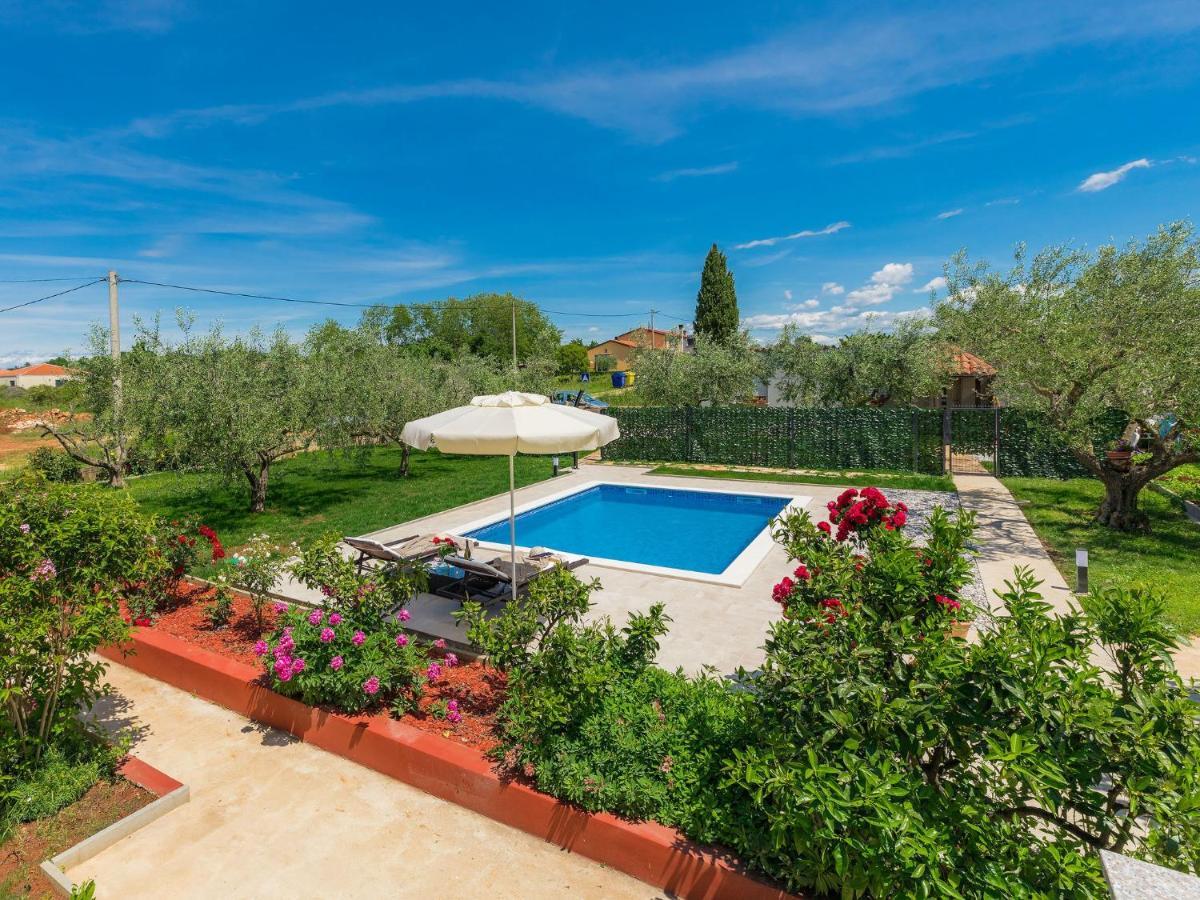 Apartment Chiara By Interhome Novigrad Istria المظهر الخارجي الصورة