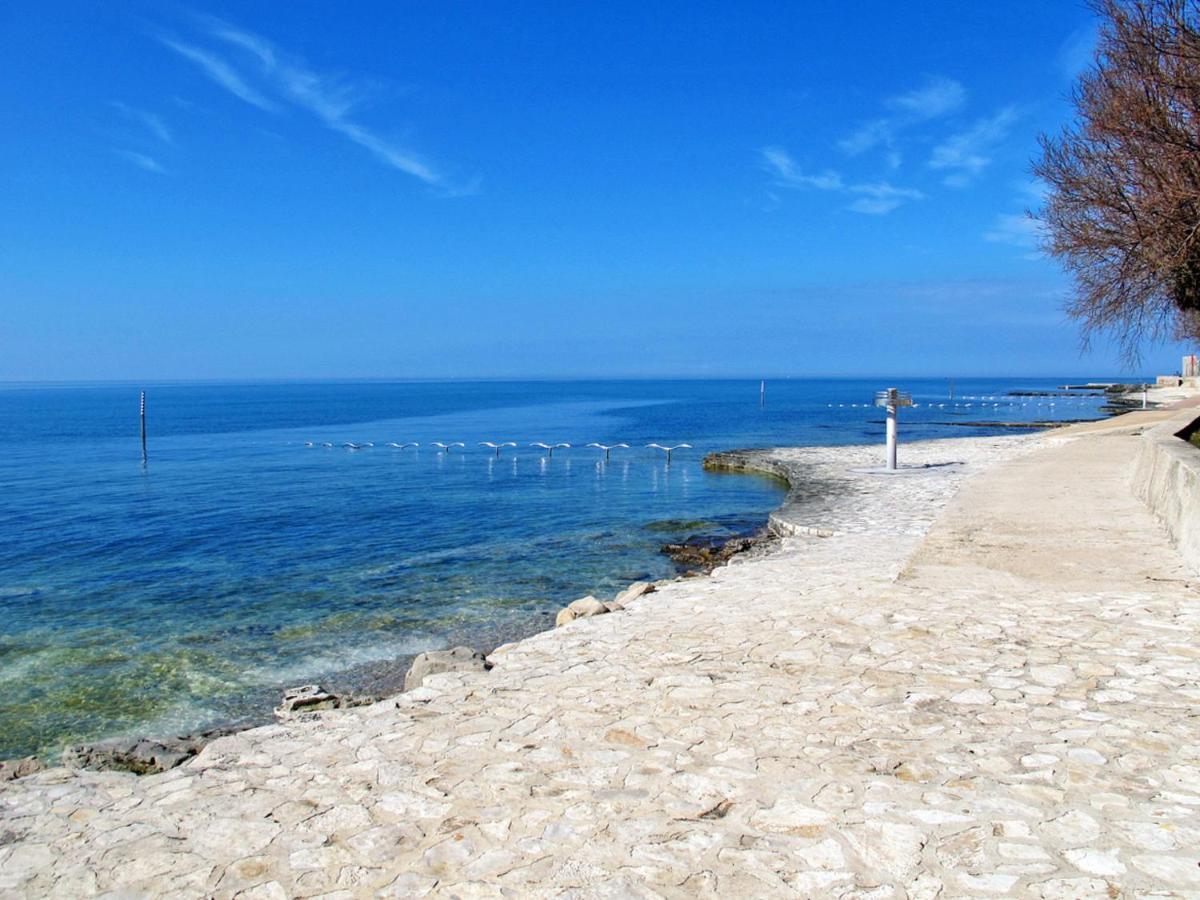 Apartment Chiara By Interhome Novigrad Istria المظهر الخارجي الصورة