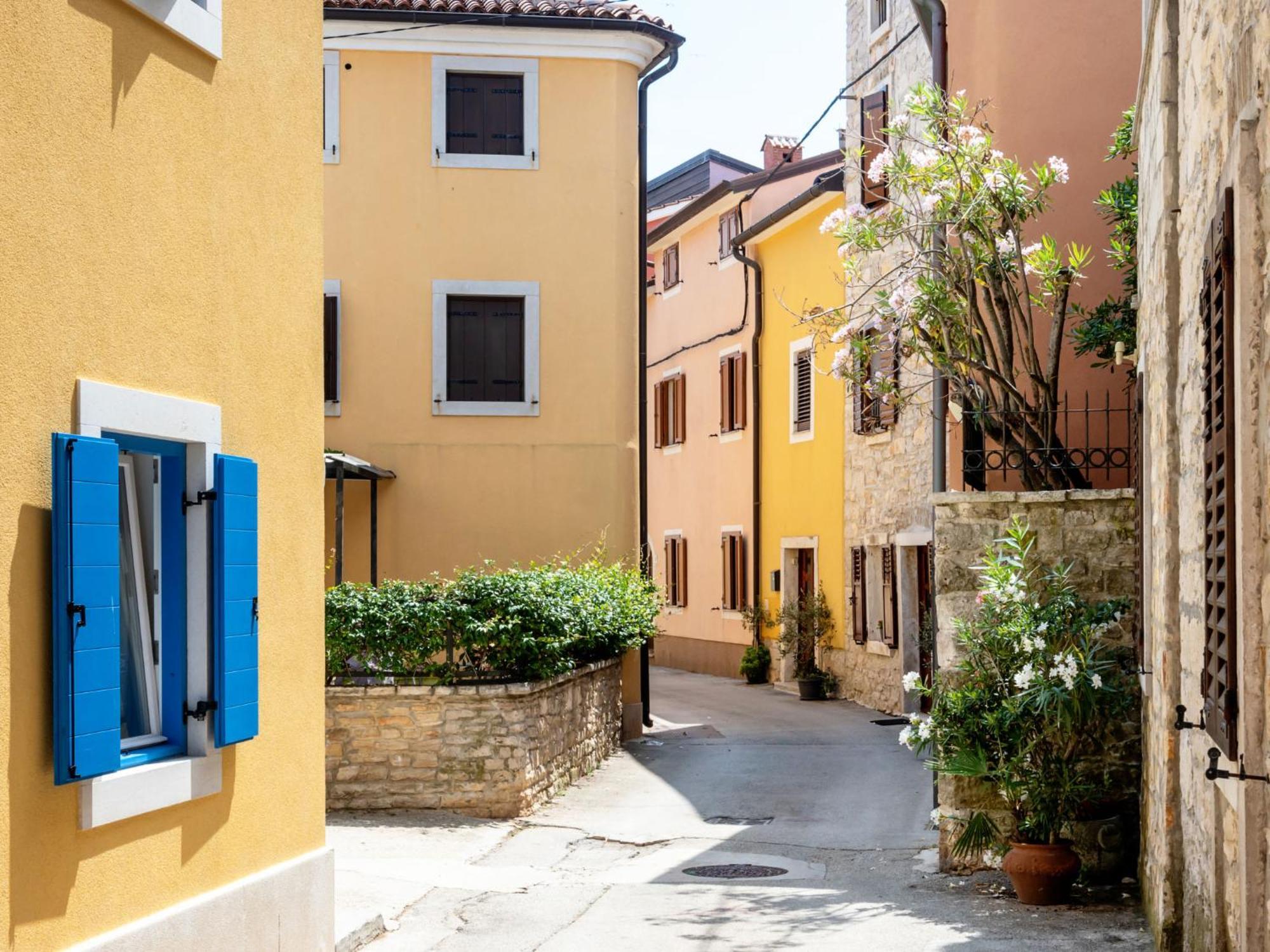 Apartment Chiara By Interhome Novigrad Istria المظهر الخارجي الصورة